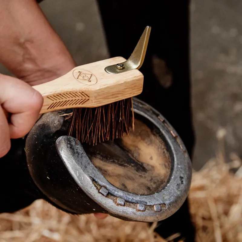 Grooming Deluxe Hoof Pick with Brush