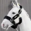 Kentucky Shipping Synthetic Sheepskin Halter - Black