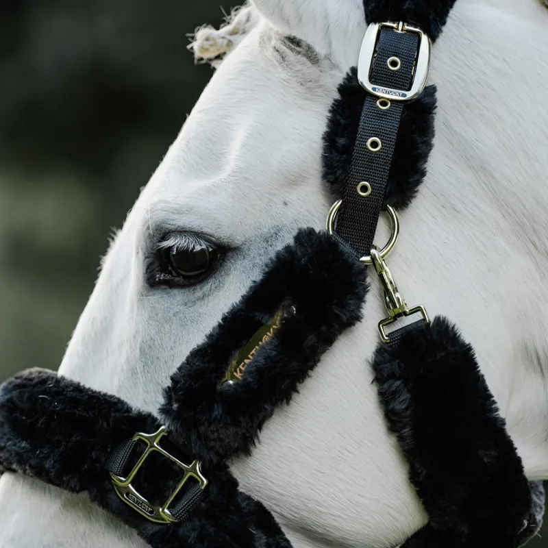 Kentucky Shipping Synthetic Sheepskin Halter - Black-1