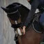 Kentucky Sheepskin Noseband Cover - Black