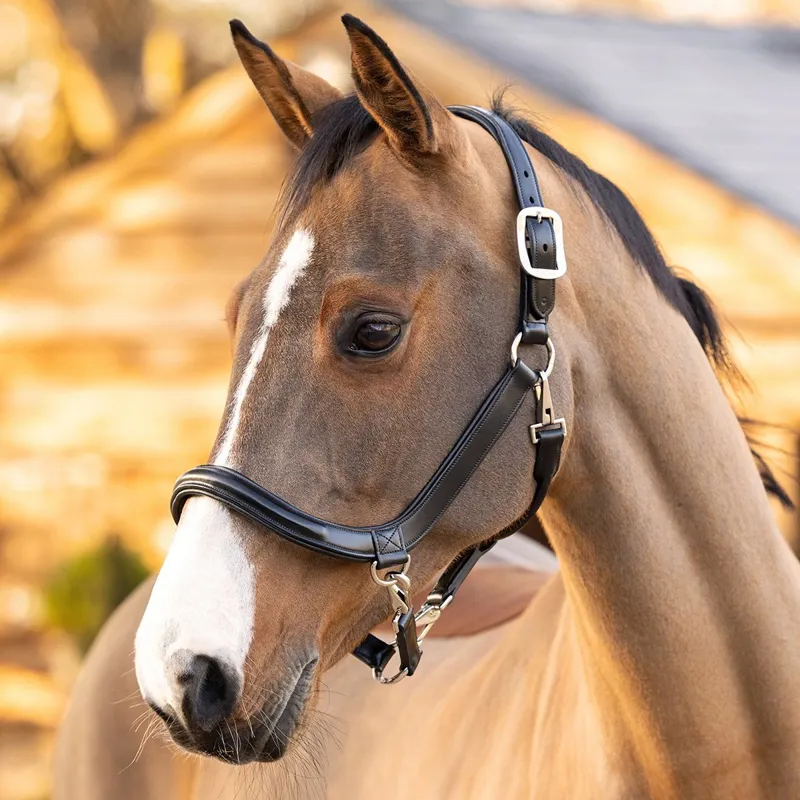 LeMieux Leather Grooming Halter - Brown-1