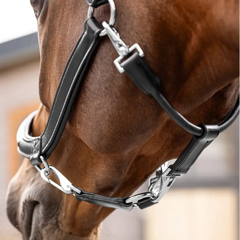 LeMieux Leather Grooming Halter - Black-2