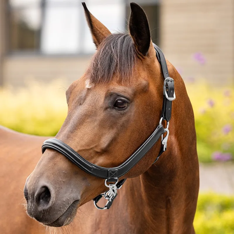 LeMieux Leather Grooming Halter - Black-1