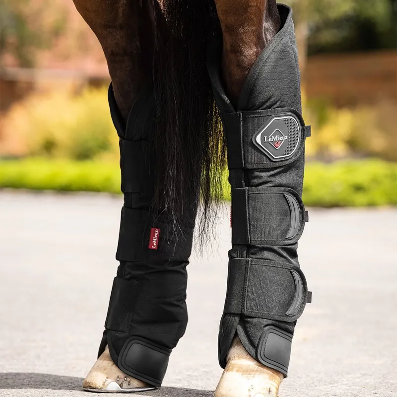 LeMieux Shipping Boots - Black-4