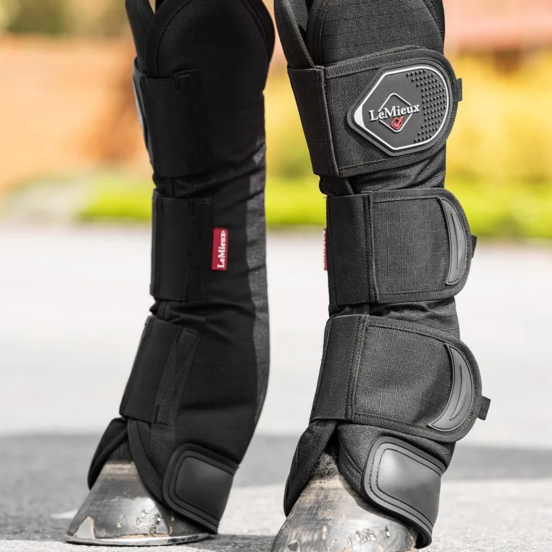 LeMieux Shipping Boots - Black-1