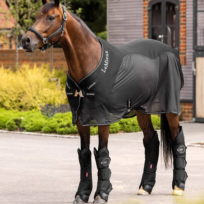 LeMieux Shipping Boots - Black-5