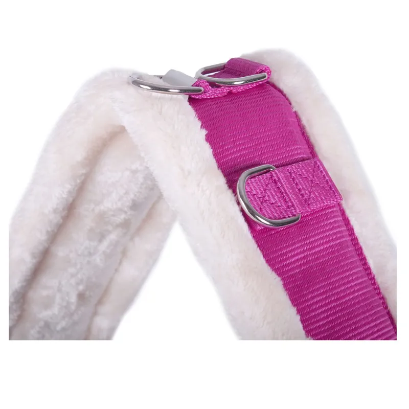 QHP Ontario Lunging Surcingle - Fuchsia-2