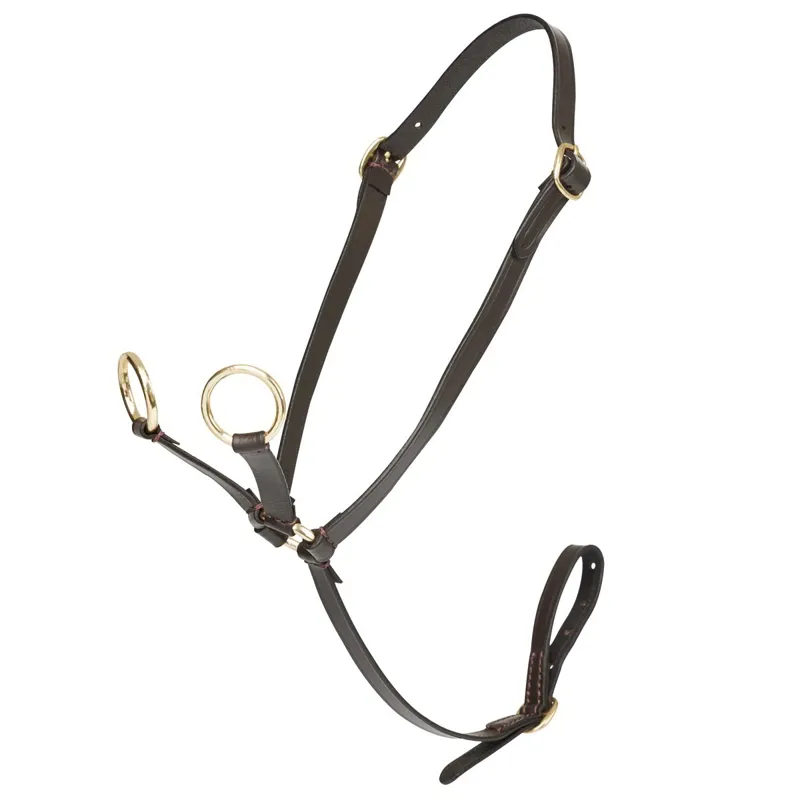 LeMieux Mini Toy Pony Martingale - Brown