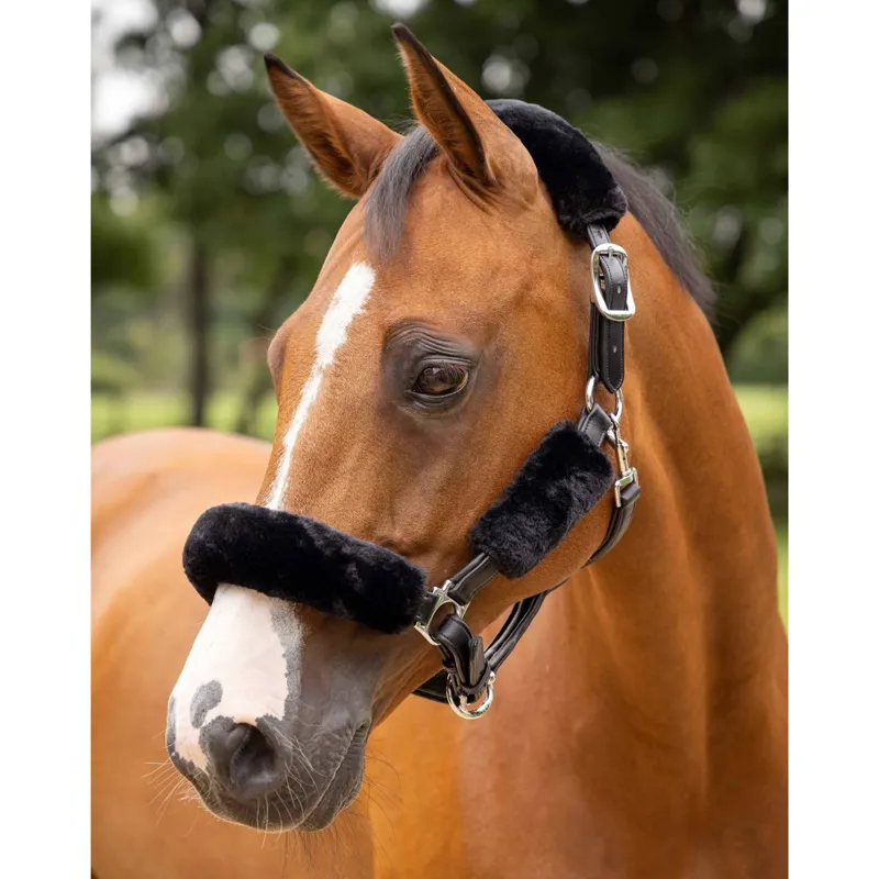 LeMieux Simuwool Halter Cover Set - Black-1