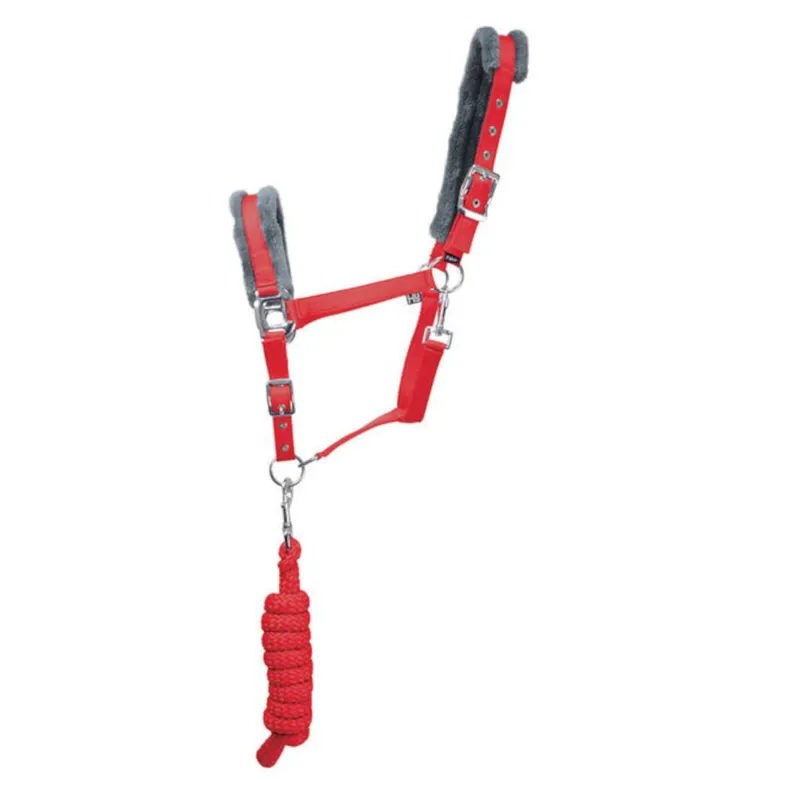 Hy Sport Active Halter and Lead Rope - Rosette Red-1