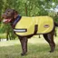 WeatherBeeta Parka Dog Coat - Fluorescent Yellow