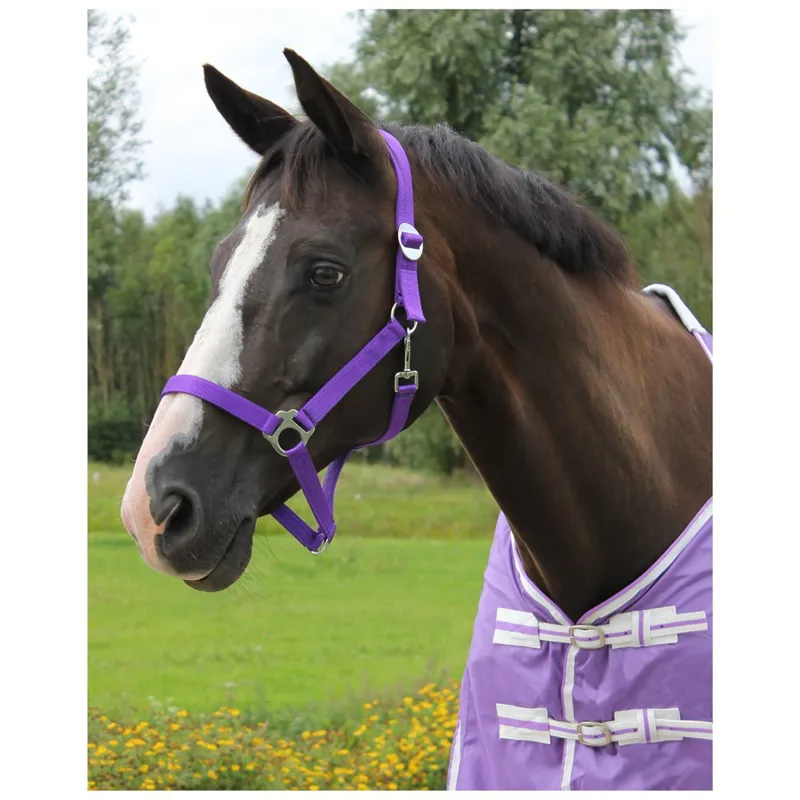 QHP Slide Halter - Passion Flower-1