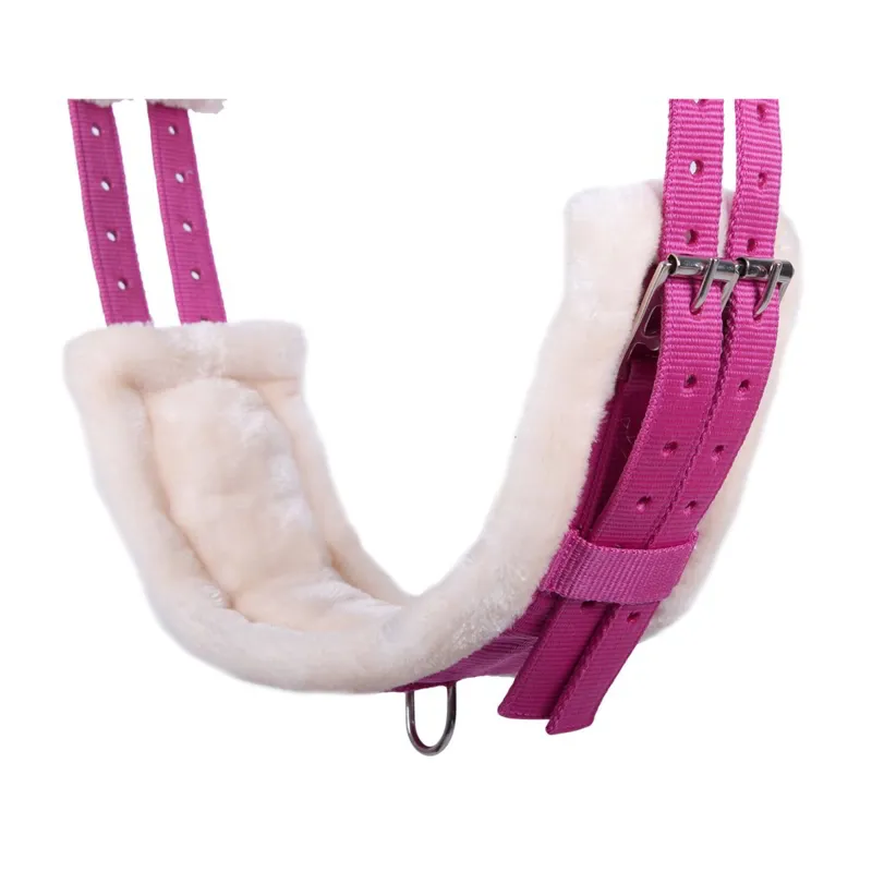QHP Ontario Lunging Surcingle - Fuchsia-1