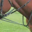 Shires Blenheim Market Harborough with Continental Reins - Brown