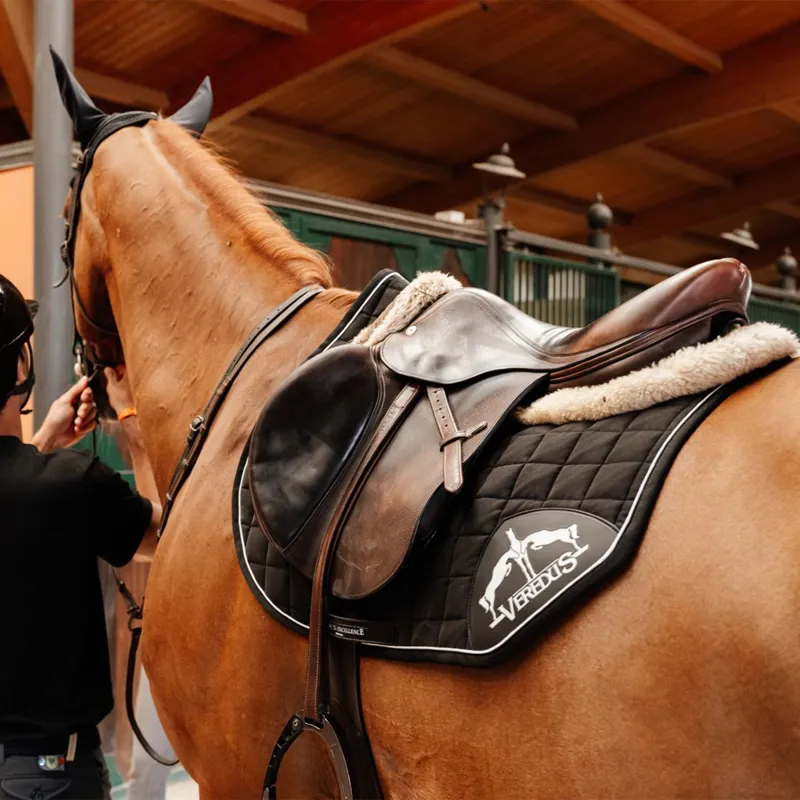 Veredus Stability Jumping Saddle Pad - Black-1