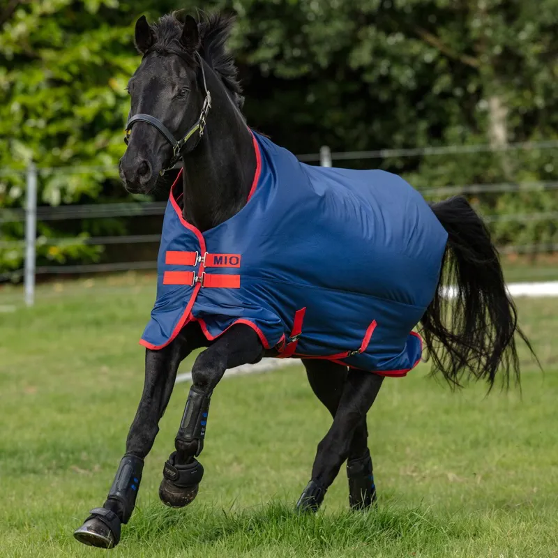 Mio Lightweight 0g Standard Neck Turnout Blanket - Dark Blue/Red