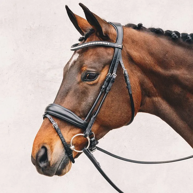 Schockemohle Malibu Anatomic Flash Bridle - Black/Silver-1
