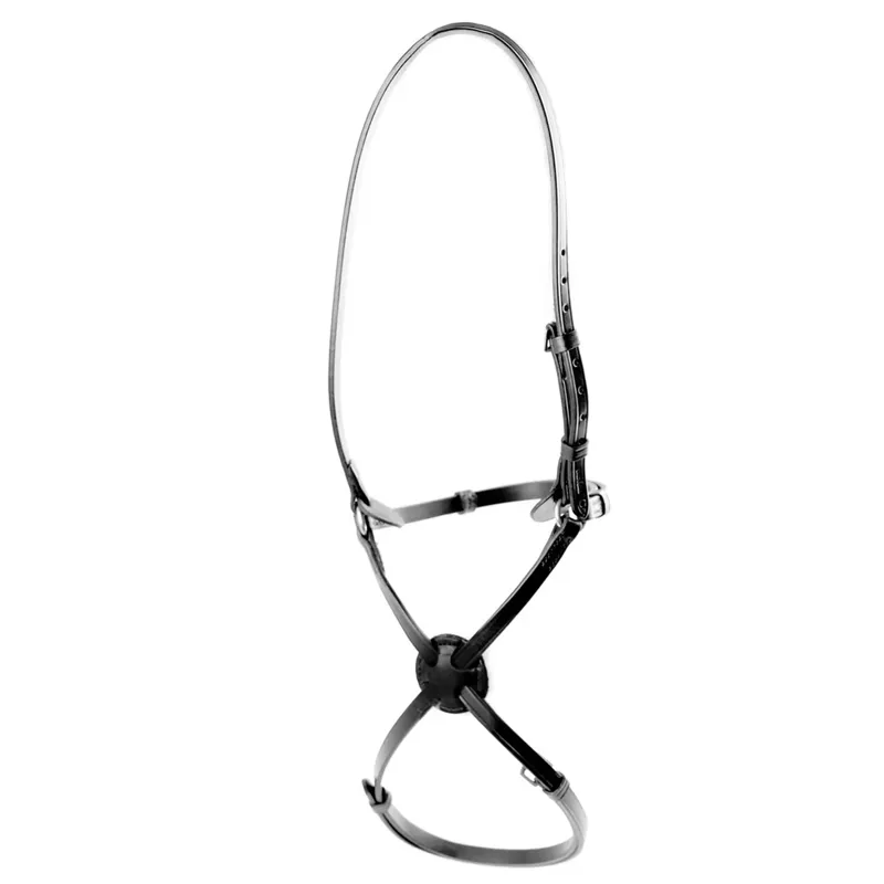 Dever Ascot High Ring Grackle Noseband - Black