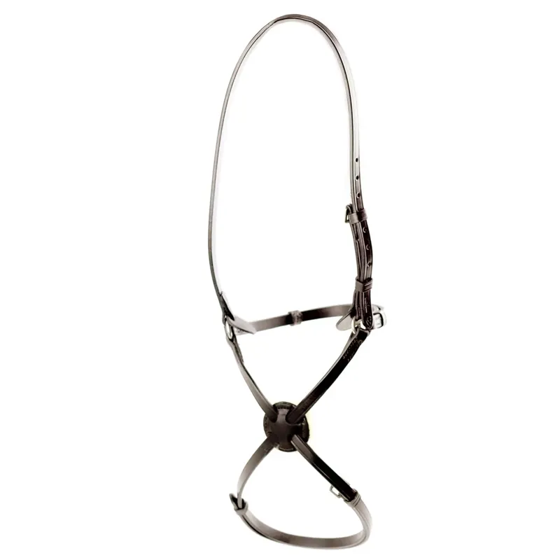 Dever Ascot High Ring Grackle Noseband - Brown