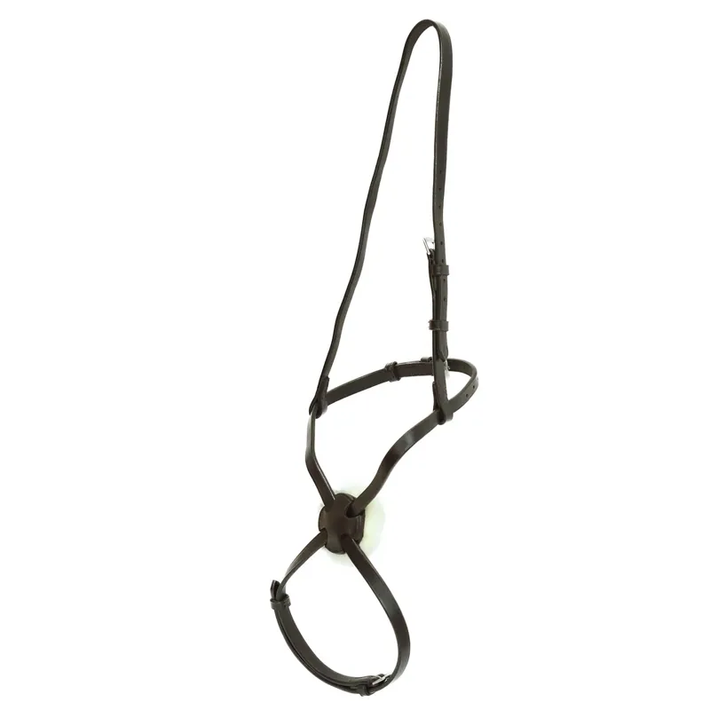Dever Ascot Sliding Grackle Noseband - Brown