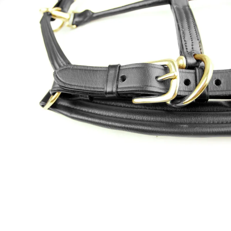 Dever Ascot Padded Leather Halter - Black-3