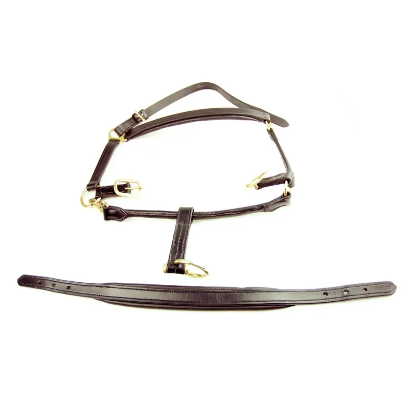Dever Ascot Padded Leather Halter - Brown-1