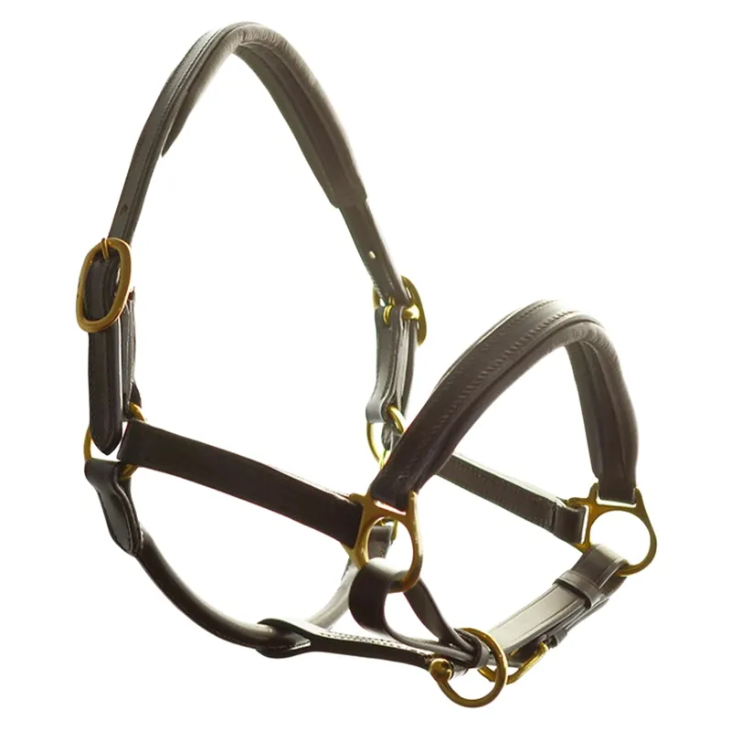 Dever Ascot Padded Leather Halter - Brown