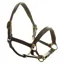 Dever Ascot Padded Leather Halter - Brown