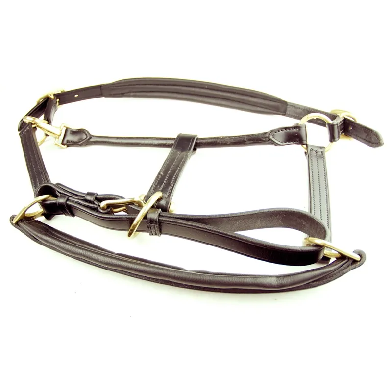 Dever Ascot Padded Leather Halter - Brown-2