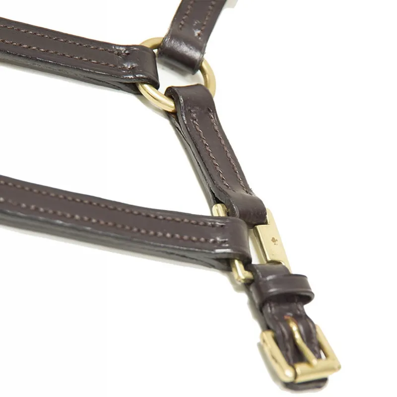 Dever Ascot Leather Foal Halter - Brown-2