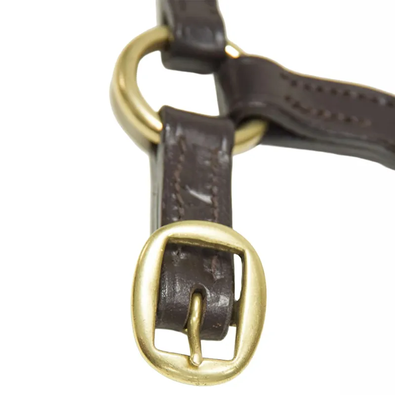 Dever Ascot Leather Foal Halter - Brown-3
