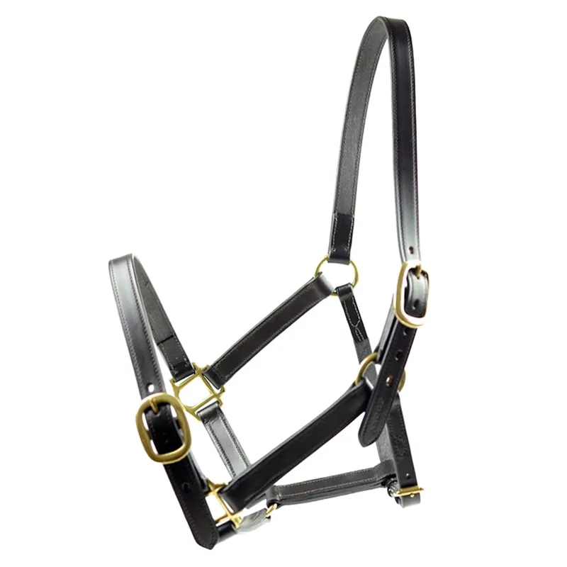 Dever Ascot Horses In Training Halter - Black