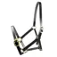 Dever Ascot Horses In Training Halter - Black