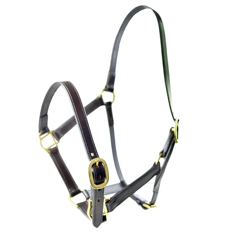 Dever Ascot Horses In Training Halter - Black-1