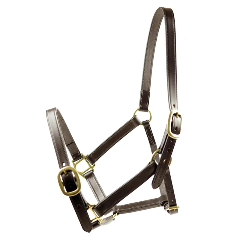 Dever Ascot Horses In Training Halter - Brown