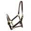 Dever Ascot Horses In Training Halter - Brown
