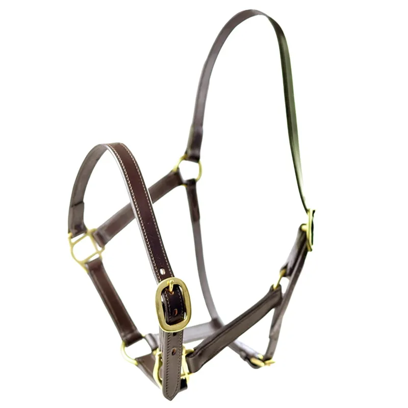 Dever Ascot Horses In Training Halter - Brown-1