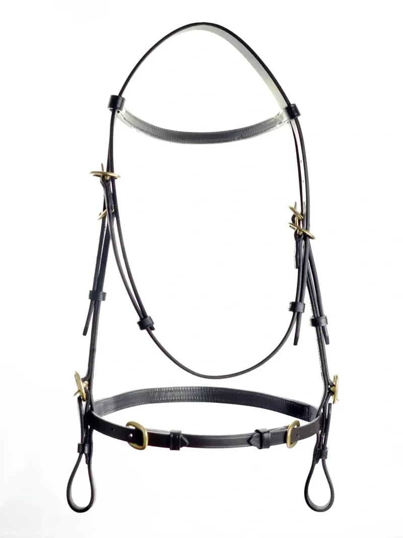Dever Ascot In Hand Bridle - Black-3