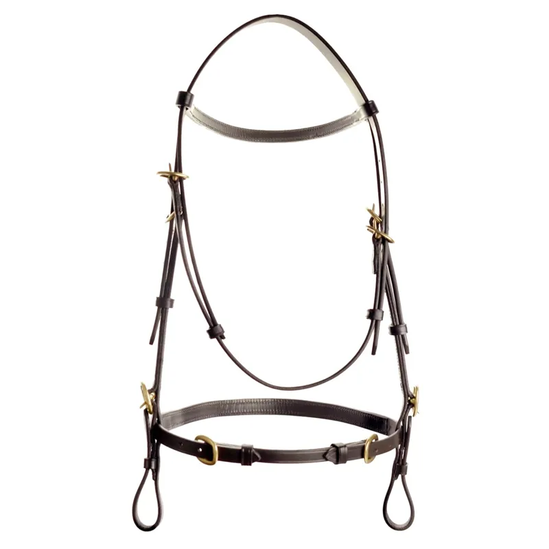 Dever Ascot In-Hand Bridle - Brown-3