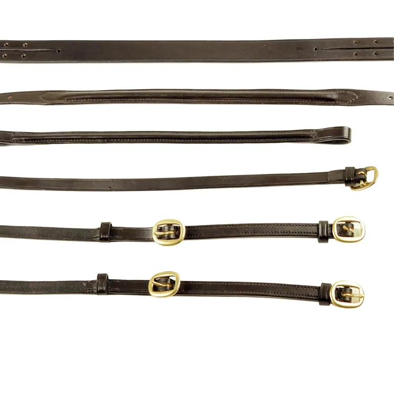 Dever Ascot In-Hand Bridle - Brown-2