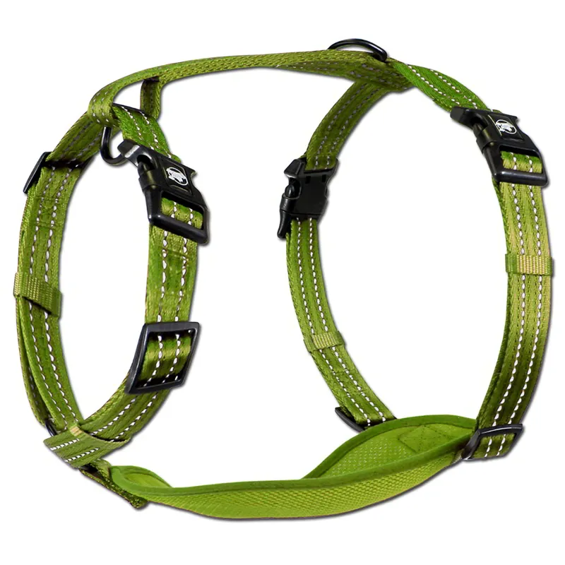 Alcott Adventure Dog Harness - Green