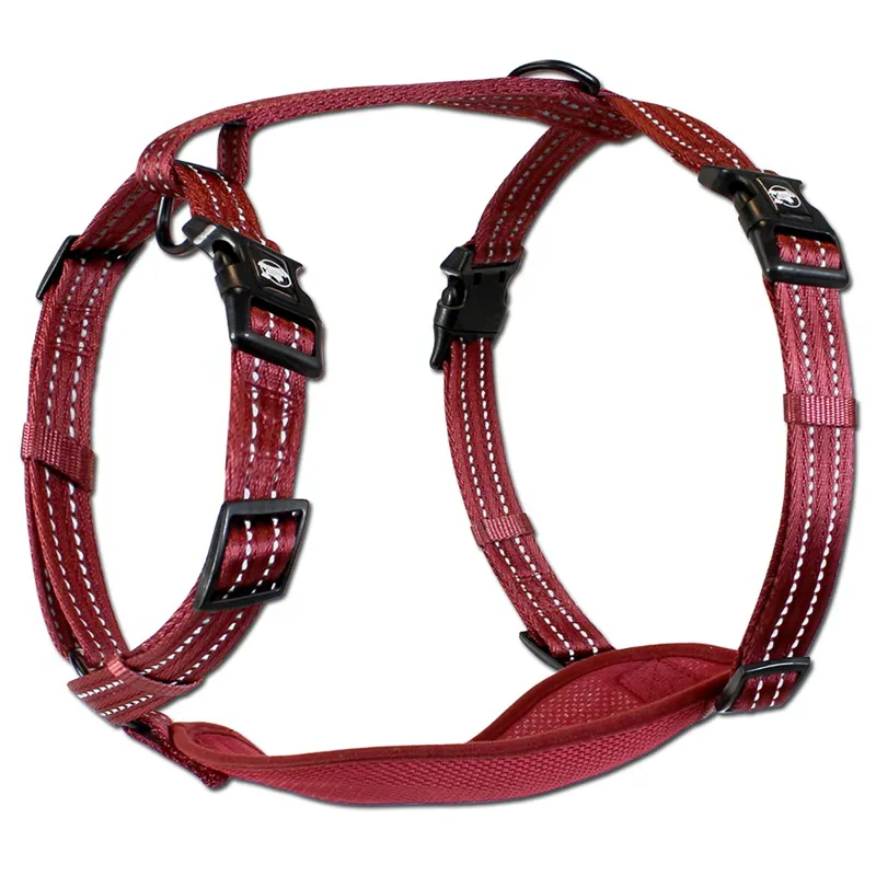 Alcott Adventure Dog Harness - Red-1