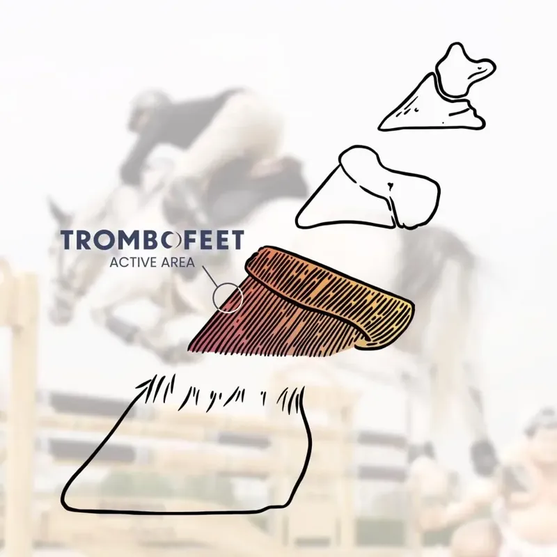Alsvid Pharma Bv Trombofeet Hoof Care Oral Paste-6