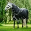Amigo Bravo 1200D Plus Lite 0g V-Front Turnout Sheet Black/Titanium