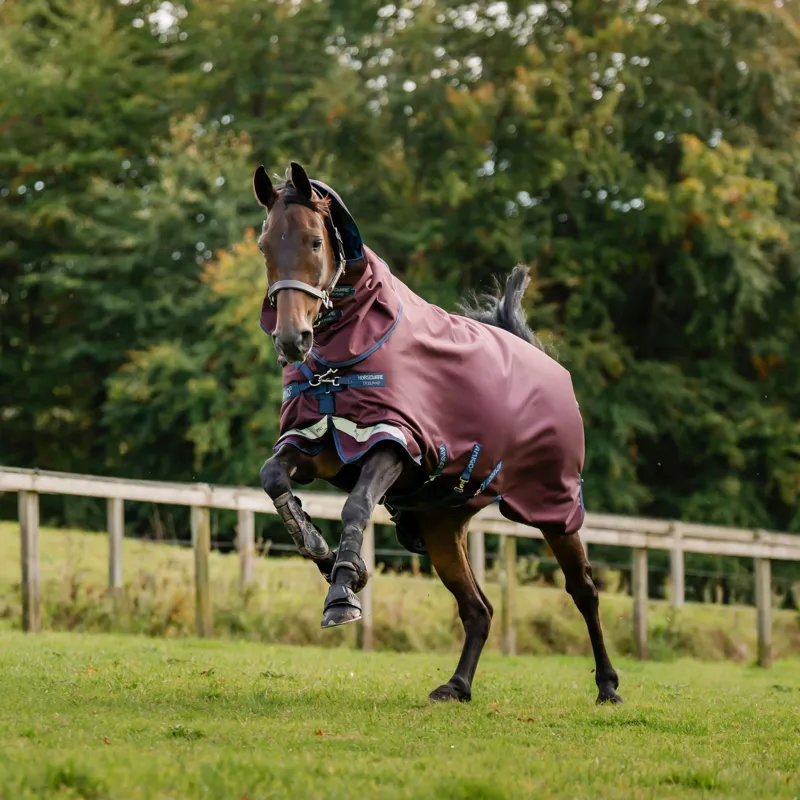 Amigo 1200D Plus 100g Detachable Neck Turnout Blanket - Burgundy/Navy/Grey-5