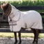Amigo Petite Bug Sheet Plus Detach-A-Neck Fly Sheet - Silver/Titanium Grey/Silver