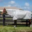 Amigo Bug Rug Plus Fly Sheet - Silver/Titanium Grey/Silver
