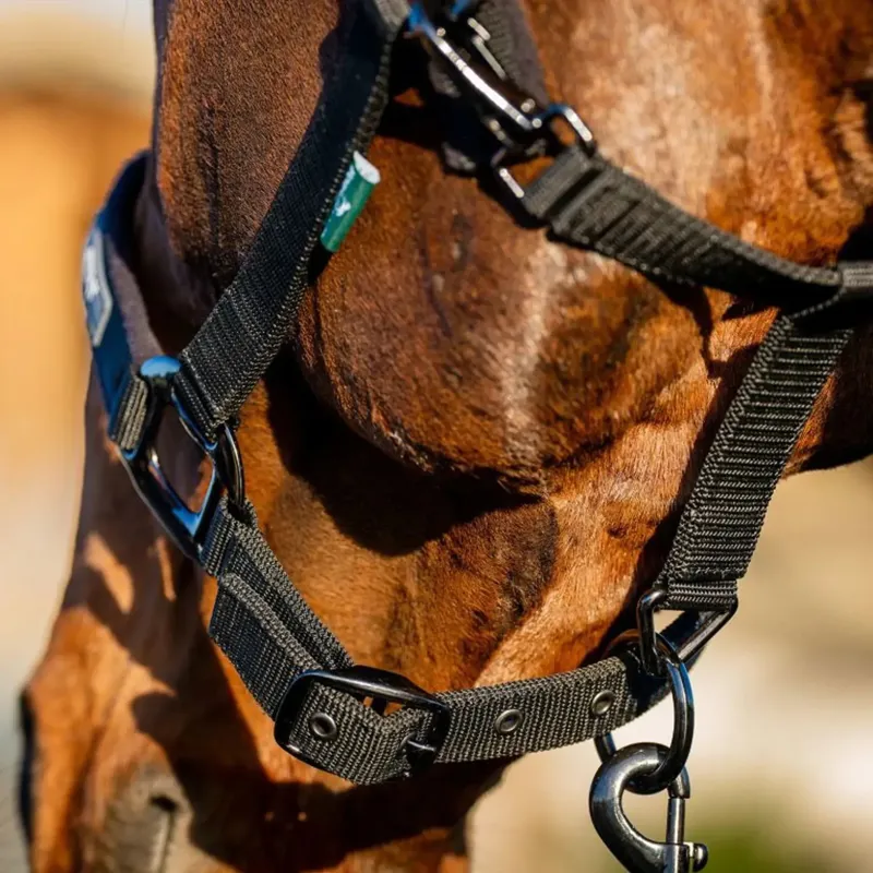 Amigo Halter and Lead Rope Set - Black-1