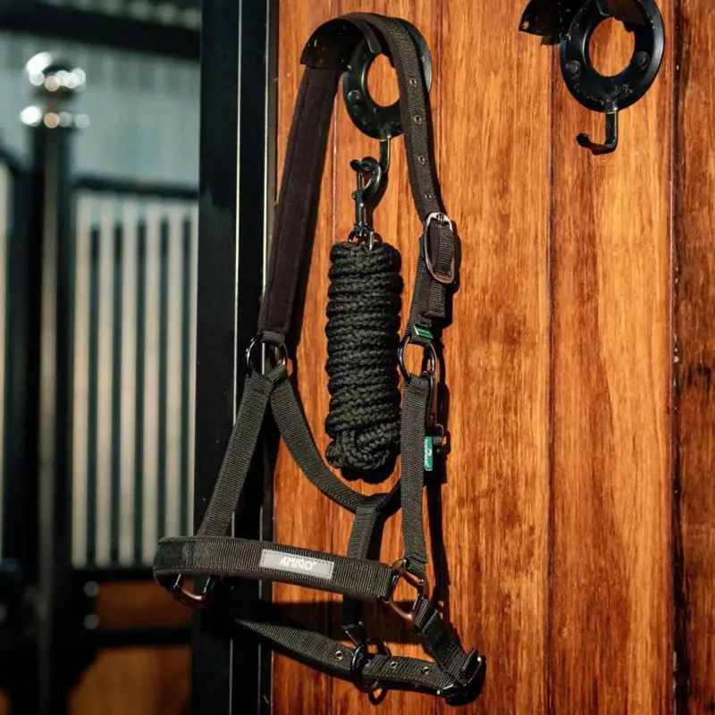 Amigo Halter and Lead Rope Set - Black-3