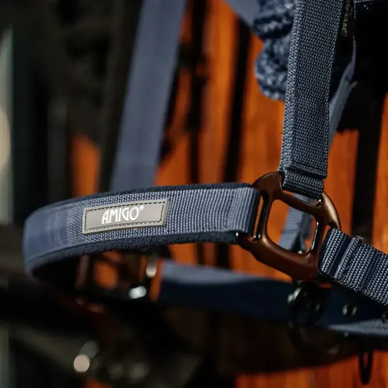 Amigo Halter and Lead Rope Set - Navy-3